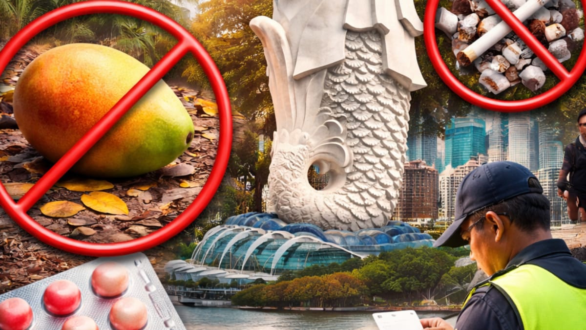 10 Strange And Strict Laws In Singapore That Show Why It’s Called The ‘Fine City’