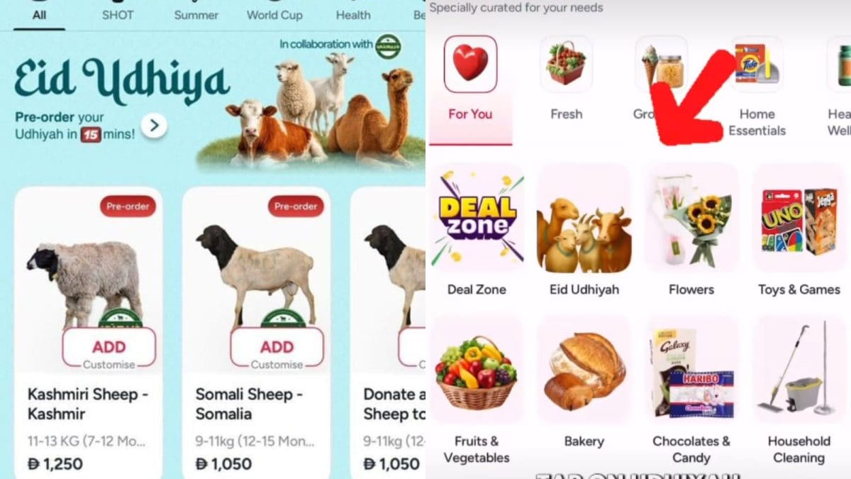 'The Absolute Goat': Dubai App Starts '15-Minute Sheep Delivery' For Eid, Leaves Internet Questioning Reali