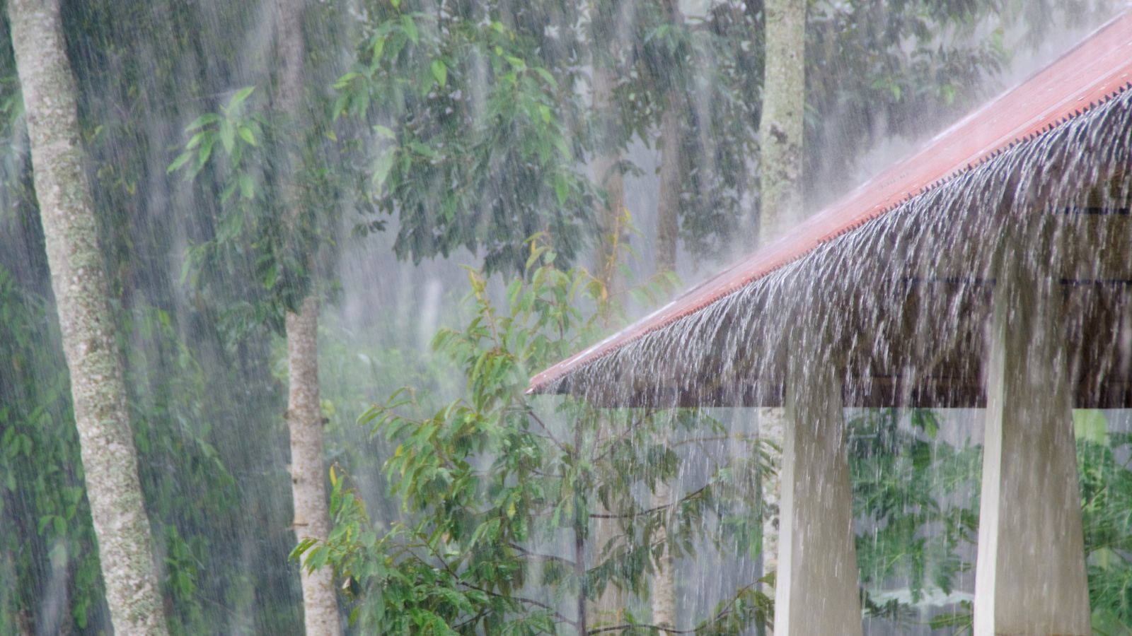 Kerala Raining Heading To South India For Summer Vacation? IMD Warns Of Heavy Rains In ...