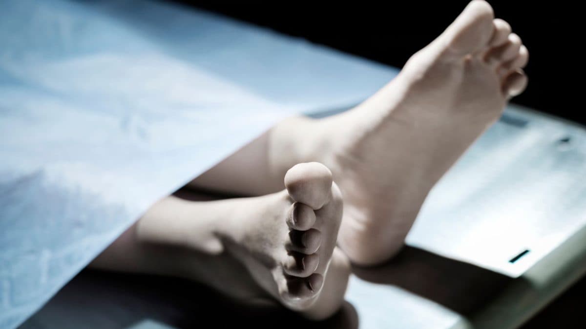 UP Vet Dies By Suicide A Week After Accusing Woman Of Rs 1.4 Crore Fraud