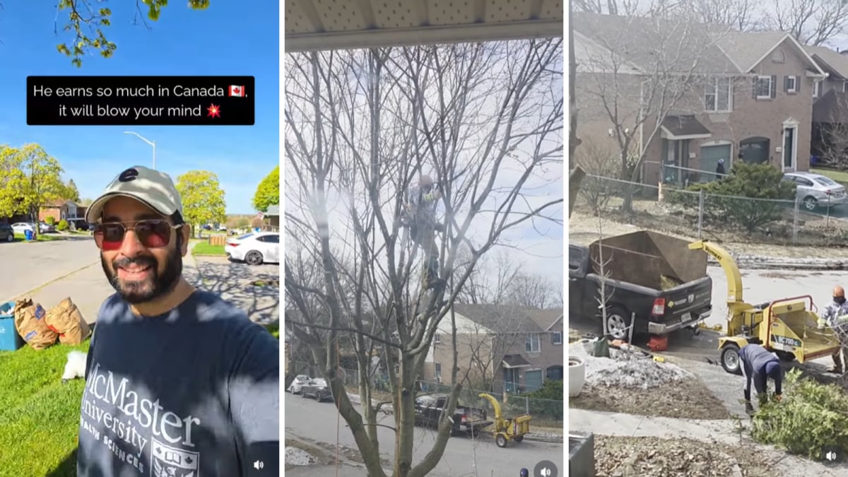 ‘Who Says There Is No Money In Canada?’: Indian Man Stunned After Tree Cutter Earns $700 In One Hour