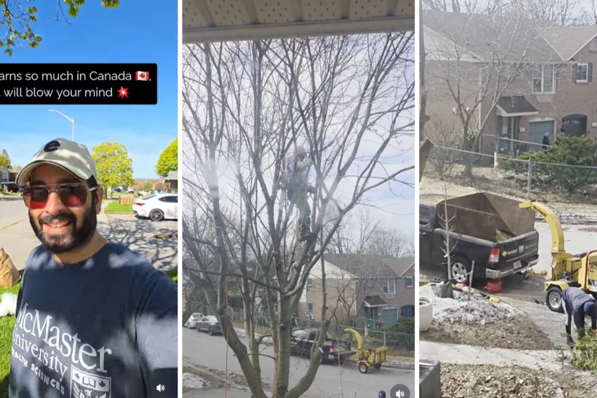 ‘Who Says There Is No Money In Canada?’: Indian Man Stunned After Tree Cutter Earns $700 In One Hour