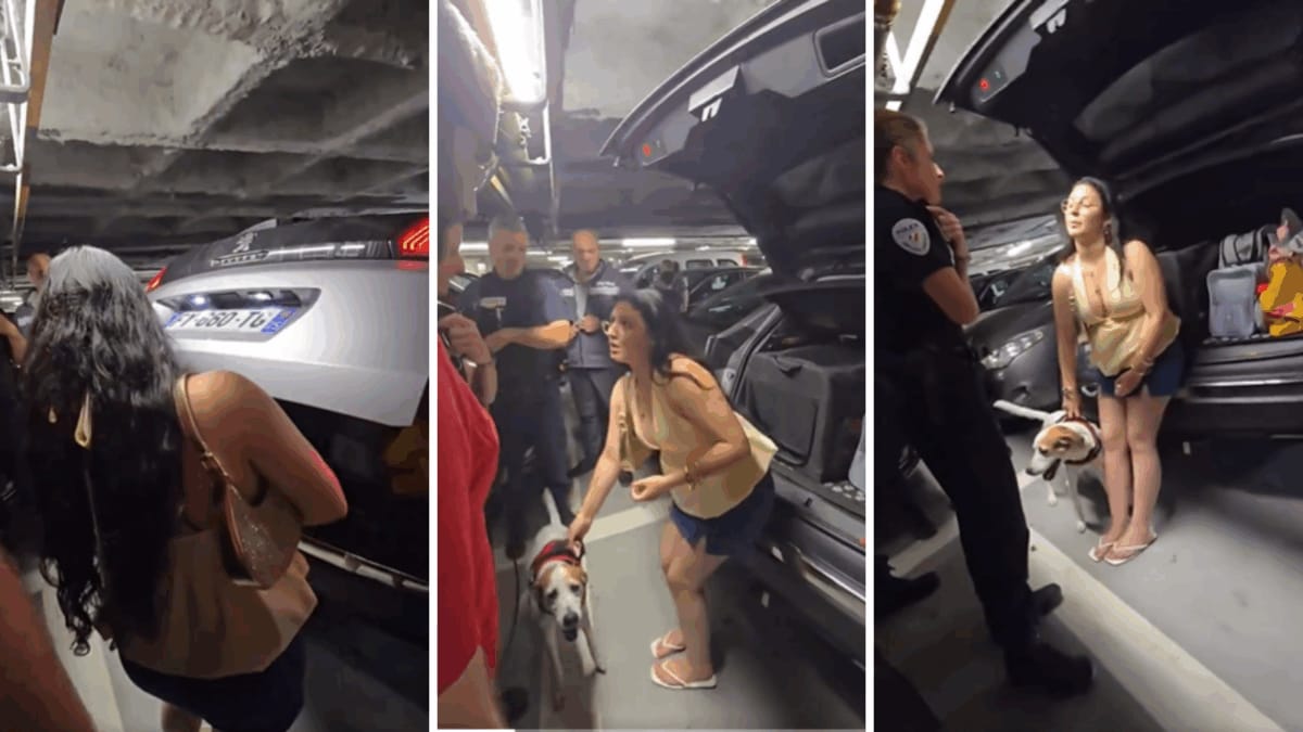 ‘This Is Animal Cruelty’: Woman Accused Of Leaving 11-Year-Old Dog In ...