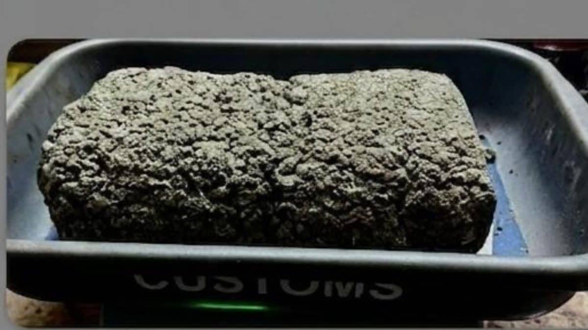 Mumbai Customs Seize Hydroponic Weed Worth Rs 20 Crore At Airport, 3 Held