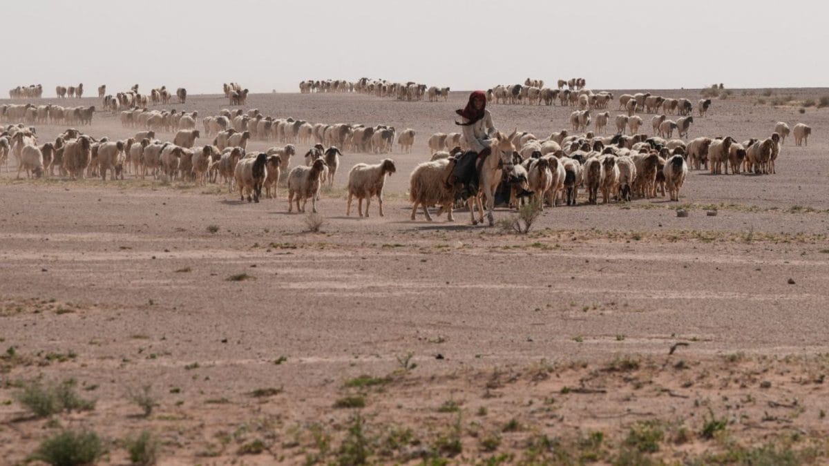 How Did Two Secret Israeli Outposts Operate Undetected In Iraq’s Western Desert