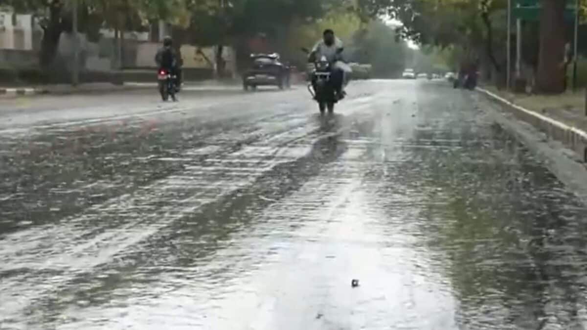 Rain, Cool Winds Bring Temporary Relief From Scorching Heat In Delhi-NCR