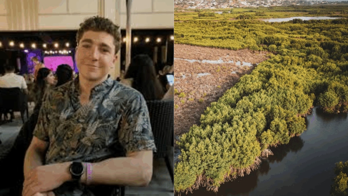 Canadian Man Plants 47,000 Mangroves In 24 Hours In Kenya. Here's Why These ‘Super Trees’ Matter