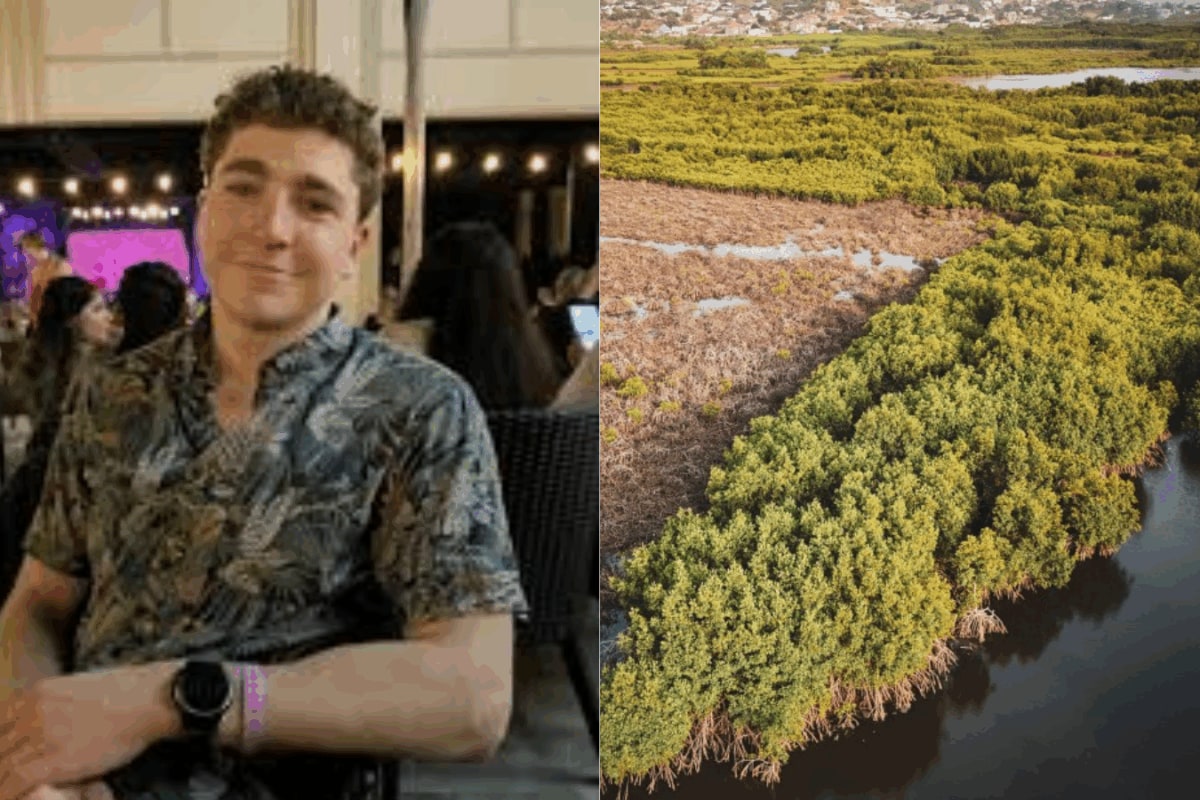 Canadian Man Plants 47,000 Mangroves In 24 Hours In Kenya. Here’s Why These ‘Super Trees’ Matter