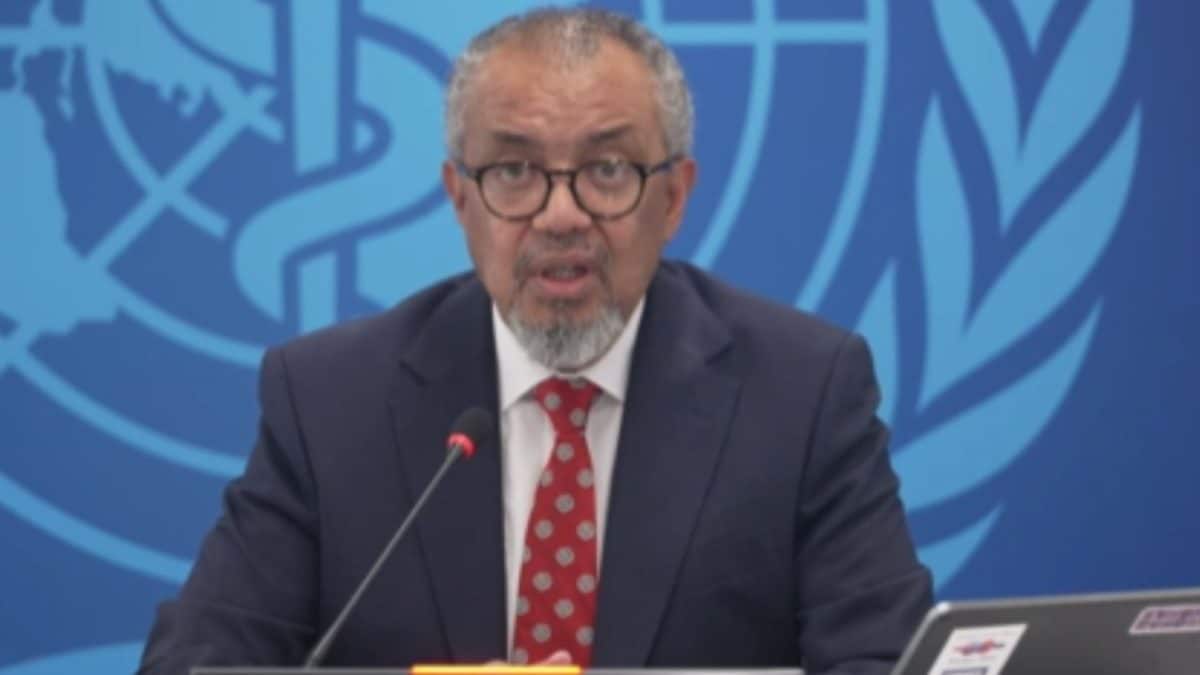 5 Countries On Alert, WHO Warns Of More Cases, Cruise Ships Monitored: Top Updates On Hantavirus
