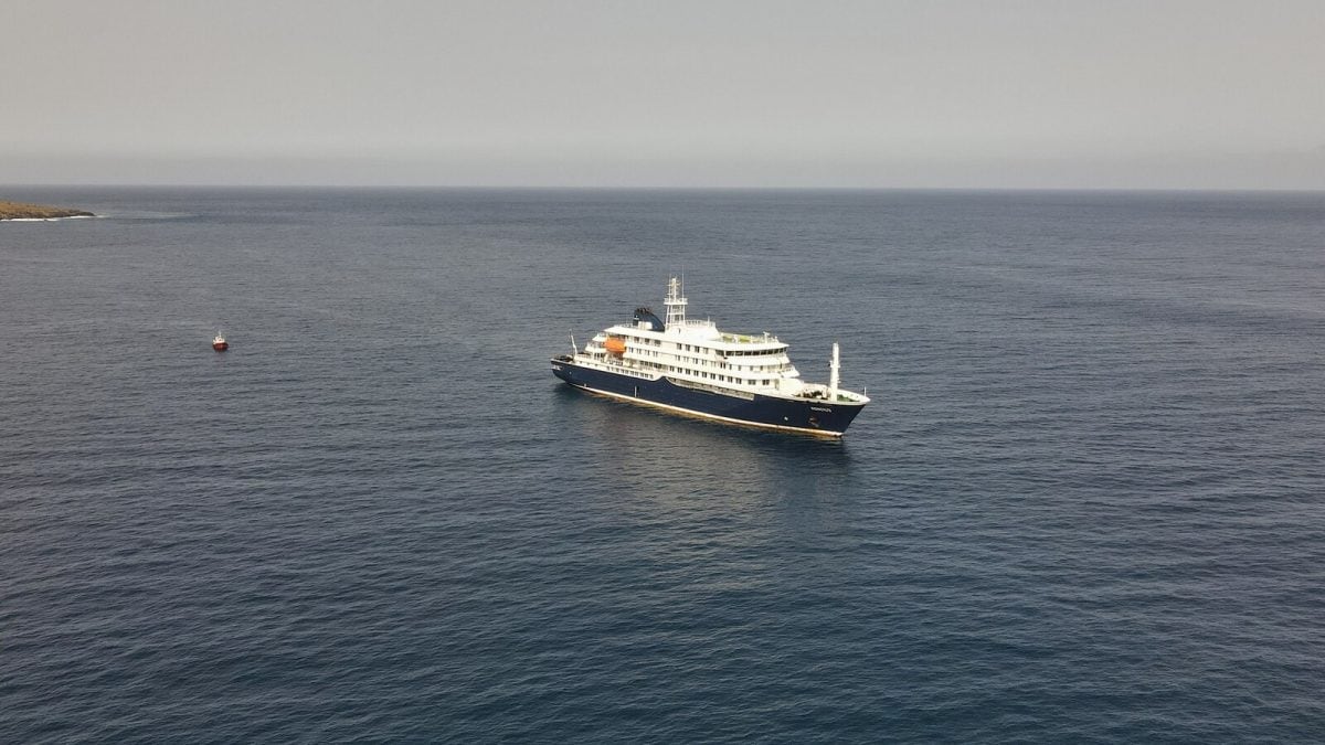 How Widespread Is Hantavirus Cruise Outbreak? List Of Countries Directly Or Indirectly Impacted