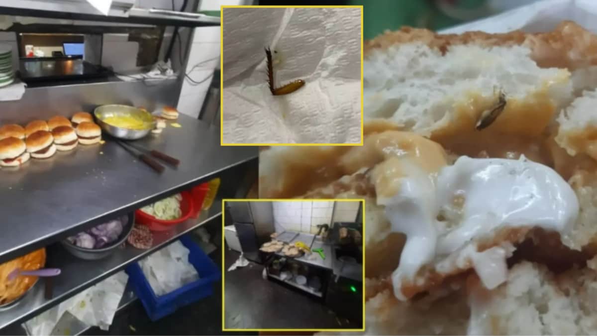Camp Burger King’s Creepy Surprise, Cockroach In Burger Goes Viral ...