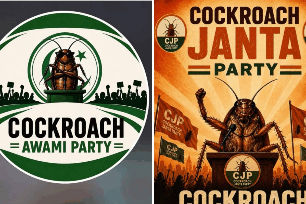 India’s ‘Cockroach’ Wave Crosses Border, Pakistan Gets Its Own ‘Cockroach Awami Party’