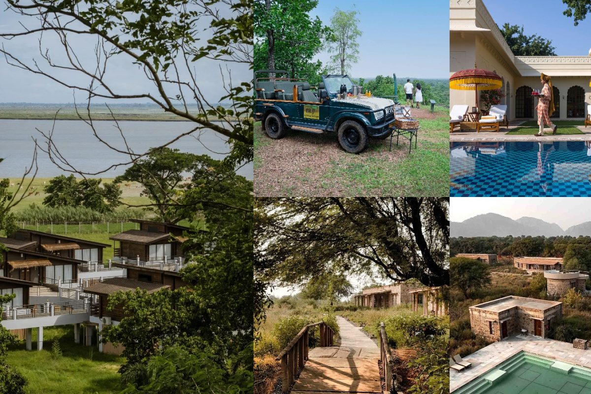 The Final Call: Wildlife Lodges To Get A Last Safari In Before The Monsoon