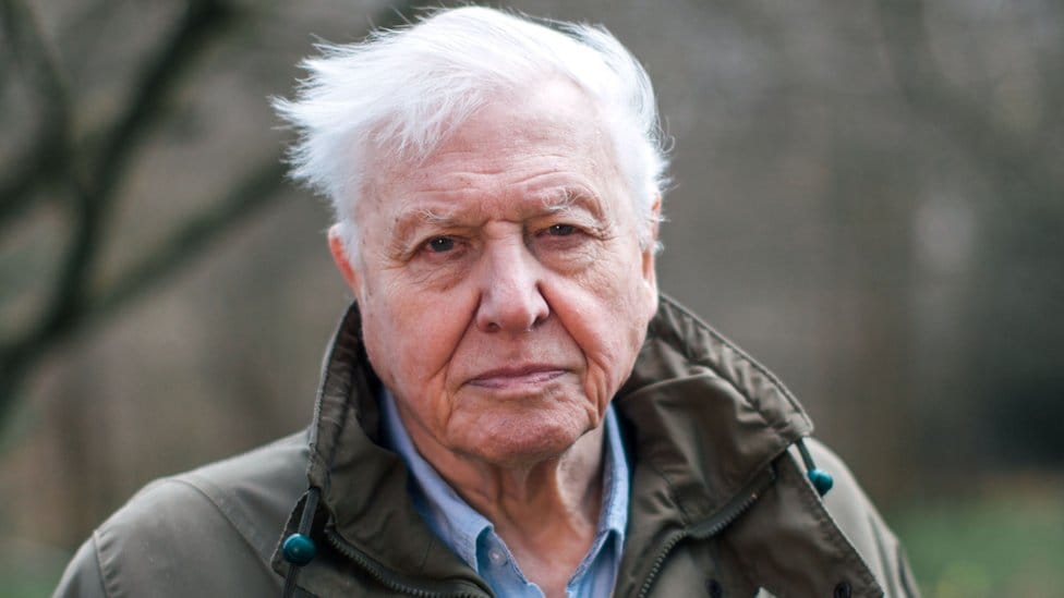 Did You Know These Facts About David Attenborough? The Nature Legend Turns 100 Today