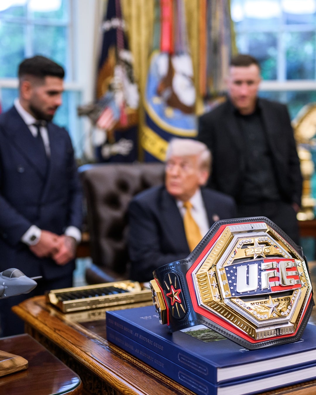 White House Turns Into UFC Arena Ahead Of America’s 250th Anniversary Celebrations | PHOTOS