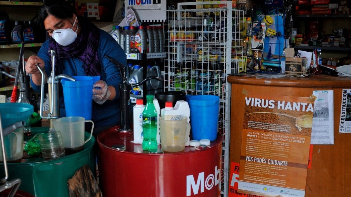 The Most Terrifying Pathogen You’ve Never Met: What Does The Hantavirus 'Doomsday Scenario' Look Like?