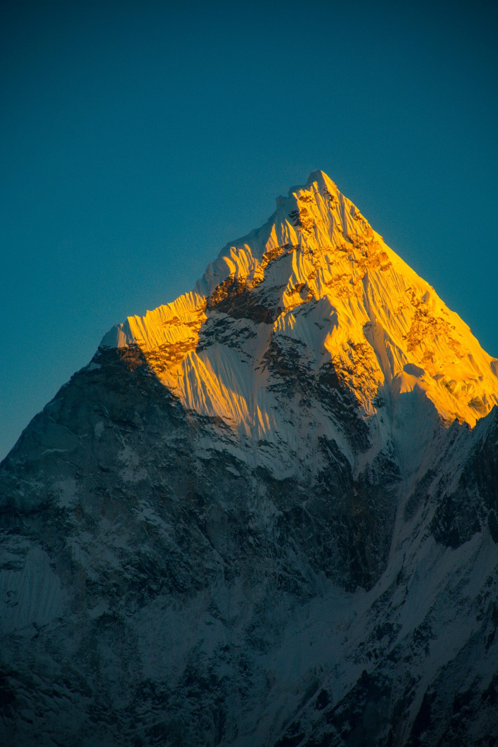 Mount Everest The Science of Resilience: Decoding the 'Sherpa Advantage'