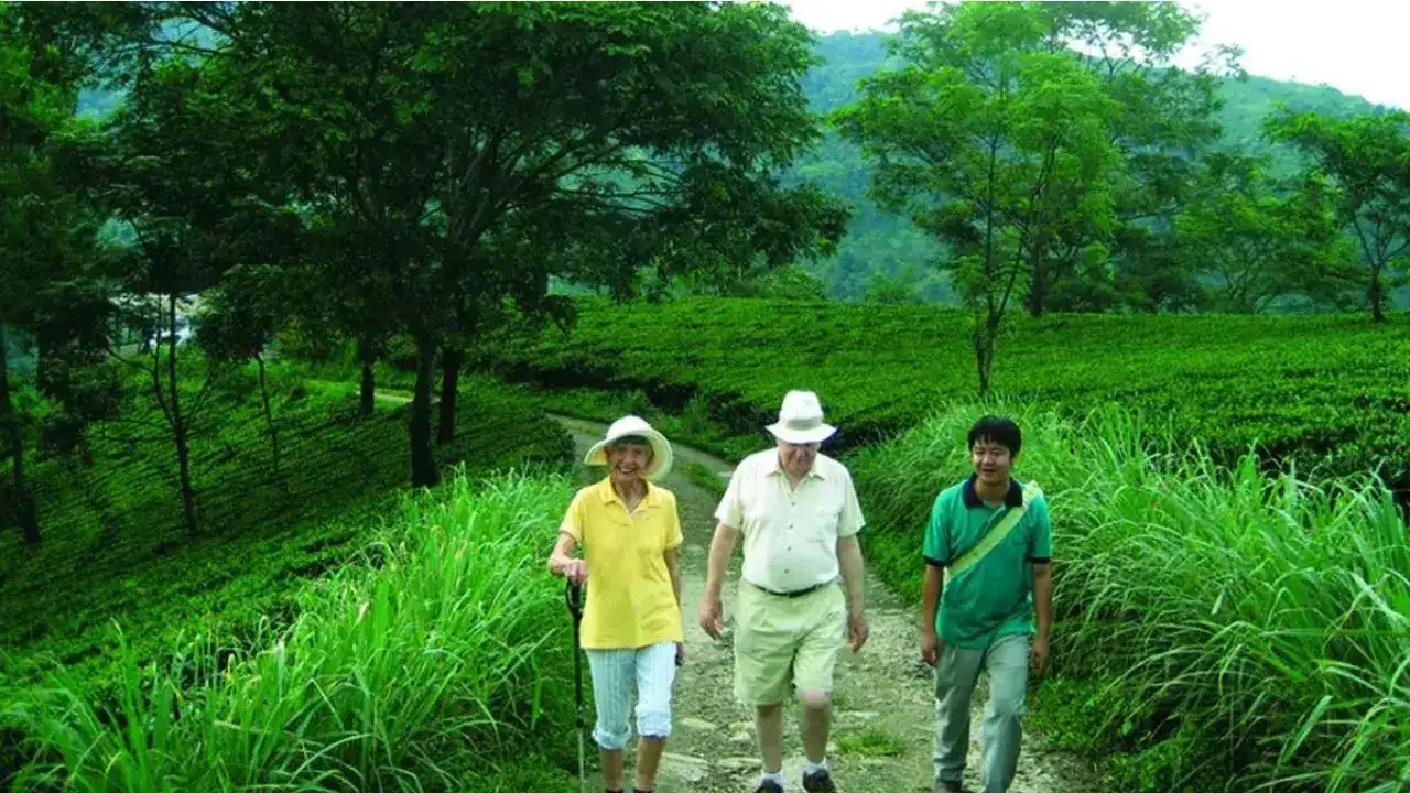Glenburn Tea Estate, Darjeeling, West BengalPerched above the River Rungeet, this 1,600-acre working tea estate is pure heritage charm. The estate, established by a Scottish tea company in 1859, now features a charming boutique hotel with stunning views of the Kanchenjunga mountain range. Here, you can partake in personalised tea tours that give you first-hand experience of the entire tea-making process. Then there are activities like hiking, village walks and day trips to both Darjeeling and Kalimpong.
Glenburn Tea Estate, Darjeeling, West BengalPerched above the River Rungeet, this 1,600-acre working tea estate is pure heritage charm. The estate, established by a Scottish tea company in 1859, now features a charming boutique hotel with stunning views of the Kanchenjunga mountain range. Here, you can partake in personalised tea tours that give you first-hand experience of the entire tea-making process. Then there are activities like hiking, village walks and day trips to both Darjeeling and Kalimpong.
