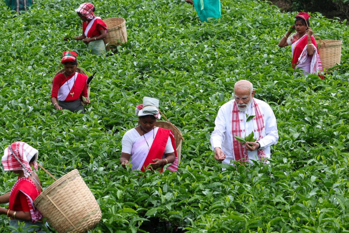Assam Election Results: PM Modi’s Tea Garden Outreach Turns Congress Bastion Dibrugarh Saffron