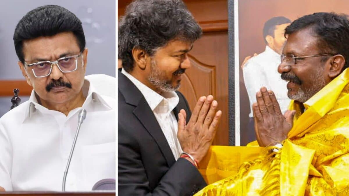 TN Politics Turns Poetic: DMK Drags VCK Up A ‘Crooked Coconut Tree’; Vijay’s TVK Steps In To Rescue Ally