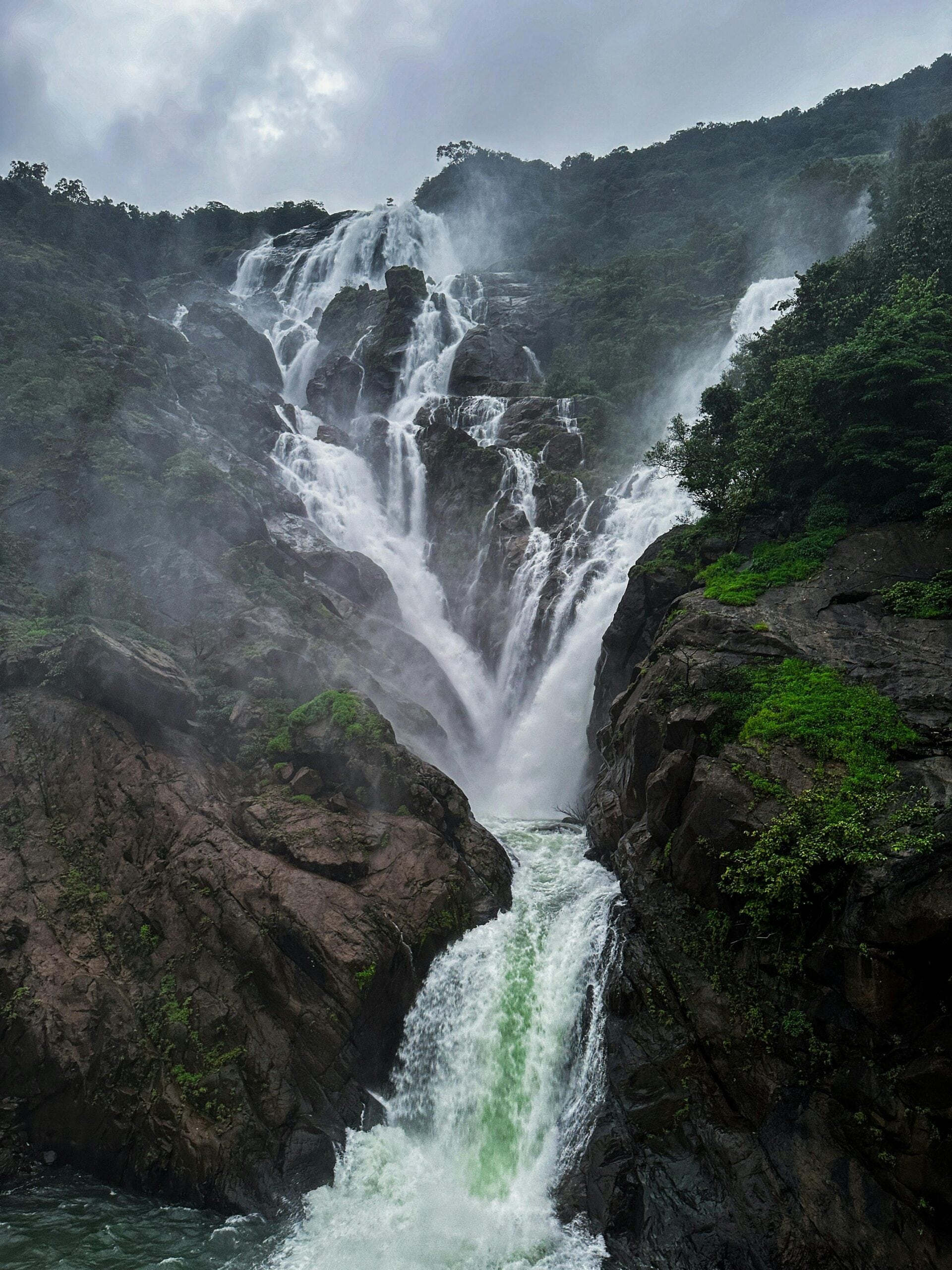 Monsoon Travel Diaries: 10 Best Wildlife Safaris In India