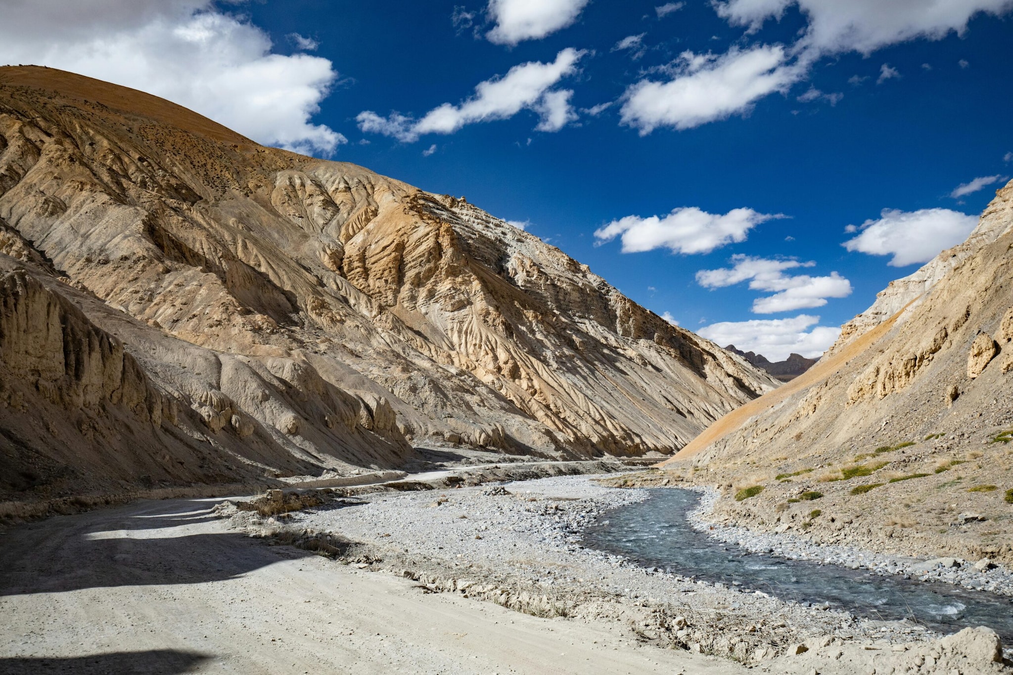 Monsoon Travel Diaries: 10 Best Wildlife Safaris In India