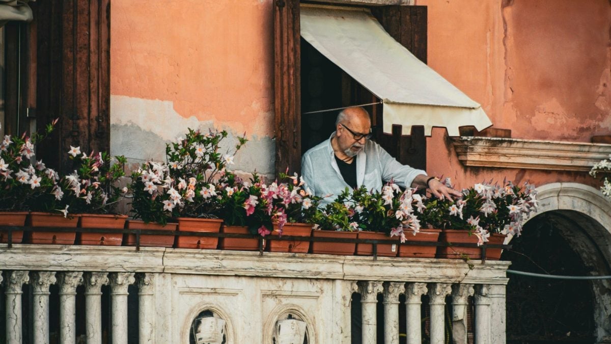 7 Pollinator Friendly Flowering Plants To Grow In Your Garden Balcony ...