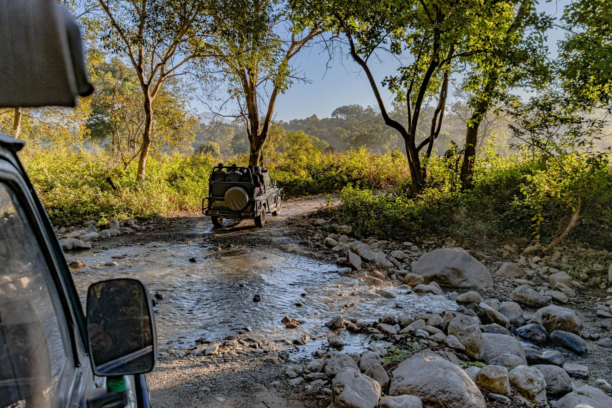 Monsoon Travel Diaries: 10 Best Wildlife Safaris In India