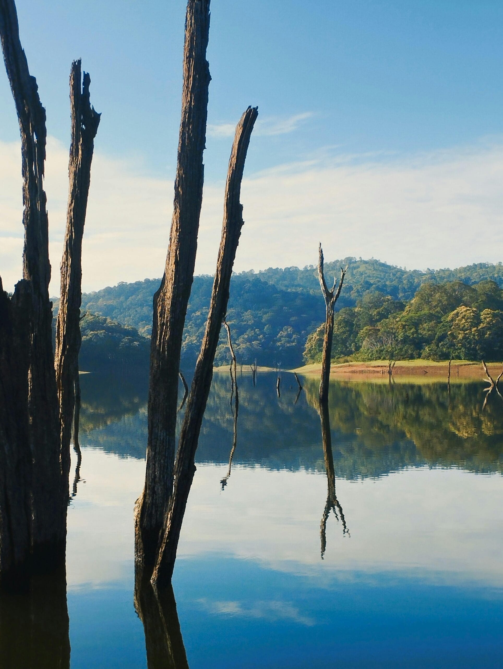 Monsoon Travel Diaries: 10 Best Wildlife Safaris In India