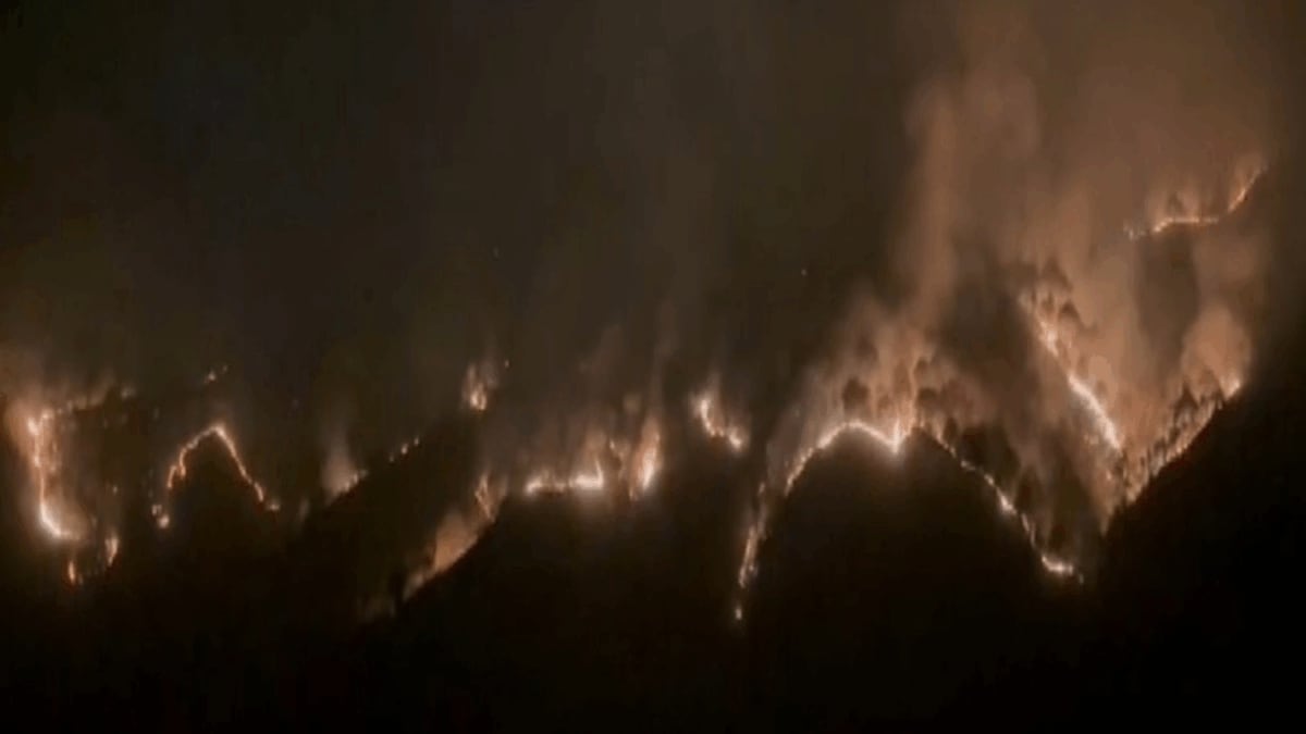 The Pine Problem: Why Forest Fires In Himalayas Have Become More Frequent