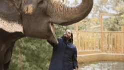 During the hearing of the wildlife transfer case, the Supreme Court observed that Vantara acted at all times in good faith.