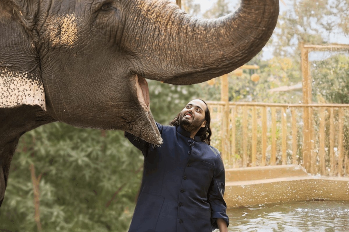 ‘Settled And Vested Right’: SC Dismisses Plea To Reopen Vantara Wildlife Transfer Case
