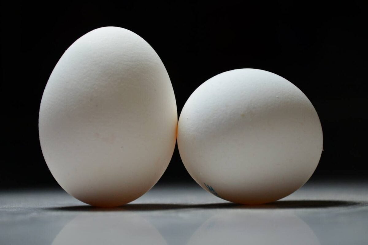 From Mahua Moitra To Mid-Day Meal Row: Why Bengal Politics Is Currently Walking On Eggshells