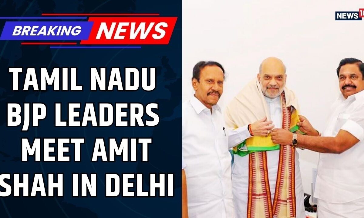 Tamil Nadu BJP Leaders Meet Home Minister Amit Shah In Delhi | Tamil Nadu Politics News | News18