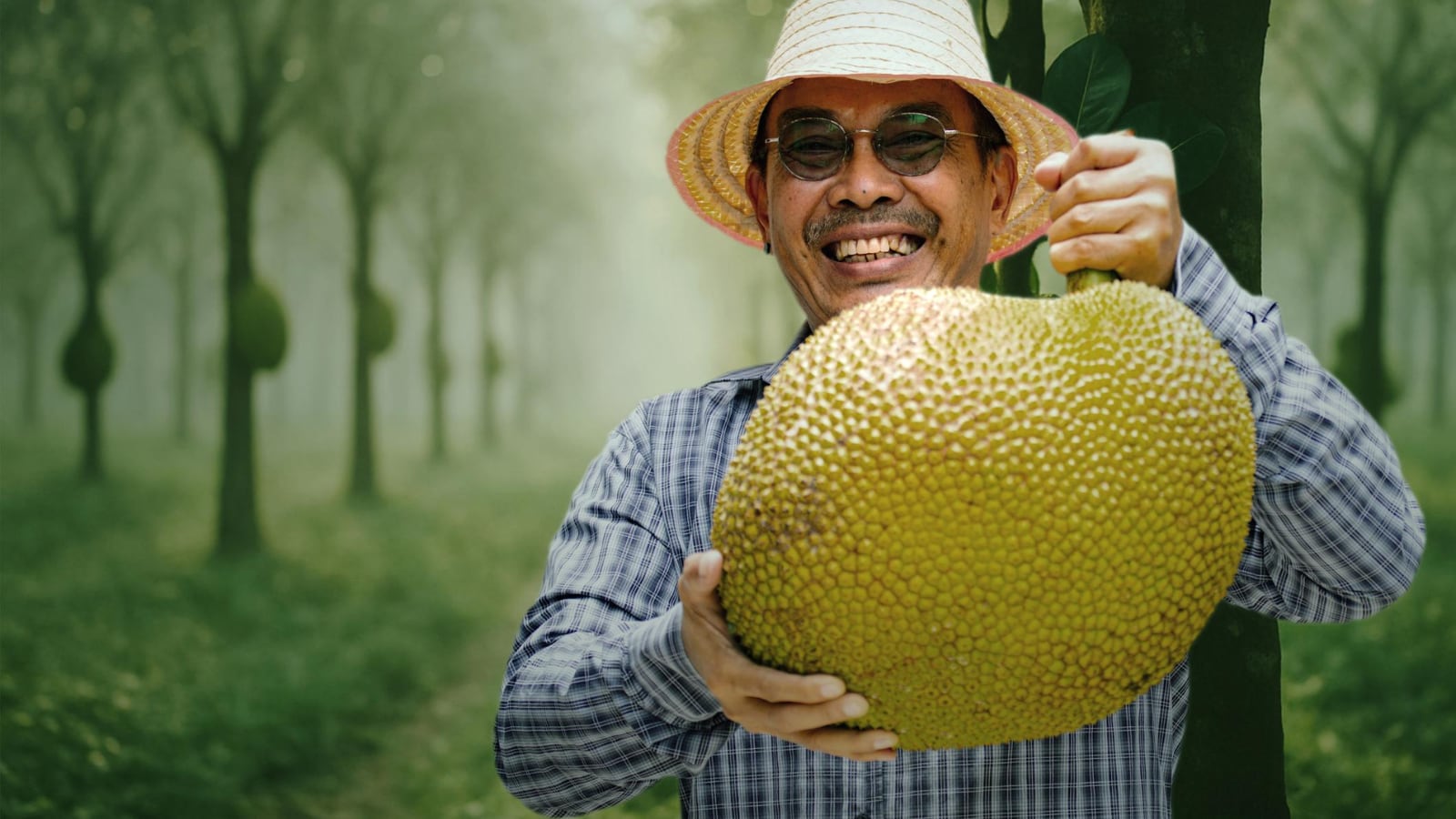 How To Tell If A Jackfruit Is Ripe Using Simple Visual And Touch Tests 4