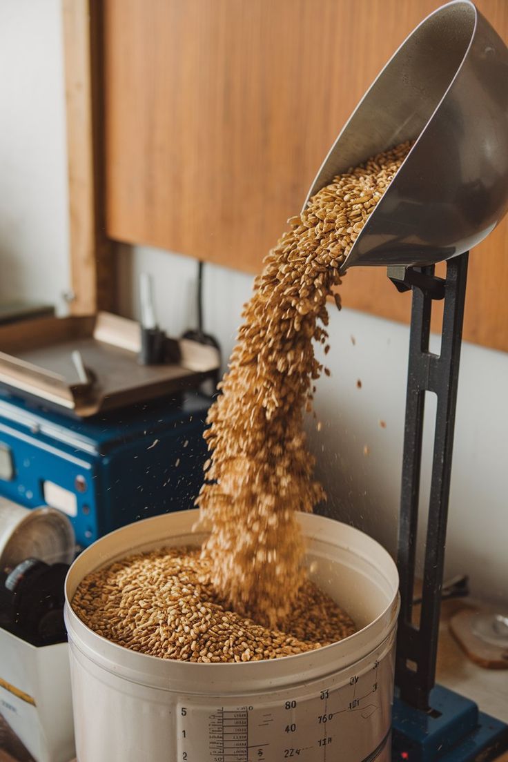 5. Wheat and Barley TestWhat you need: Wheat or barley grains and urine samples. How it works: Soak the grains in urine and leave them for a few days. Traditional belief: If the grains sprout, it is traditionally interpreted as a sign of pregnancy.