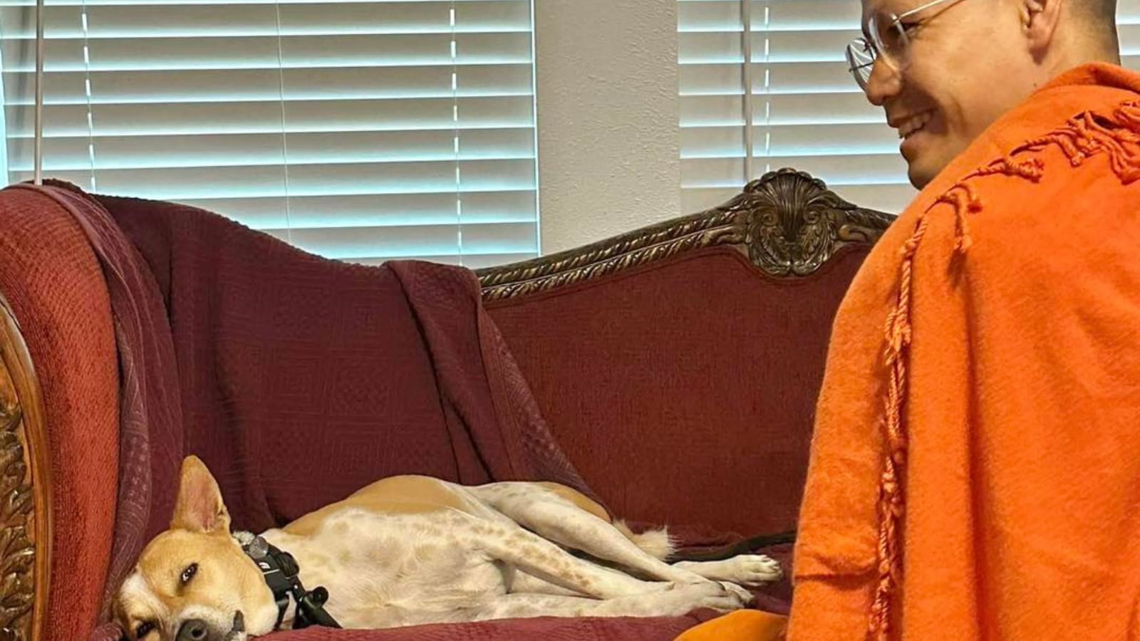 Monks Rescued Dog Meet The World's First Indian Rescue Dog Who Walked 2300 Miles Across ...