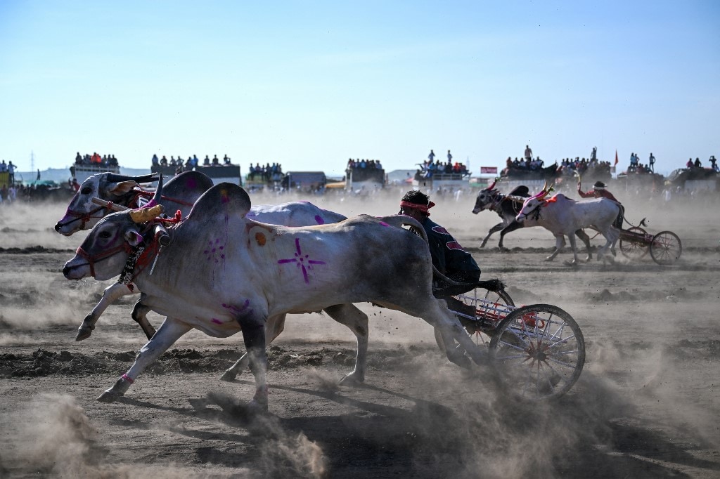 With a history spanning over 400 years, this traditional race attracts more than 1000 competitors and thousands of spectators every year. (Image: AFP) With a history spanning over 400 years, this traditional race attracts more than 1000 competitors and thousands of spectators every year. (Image: AFP)