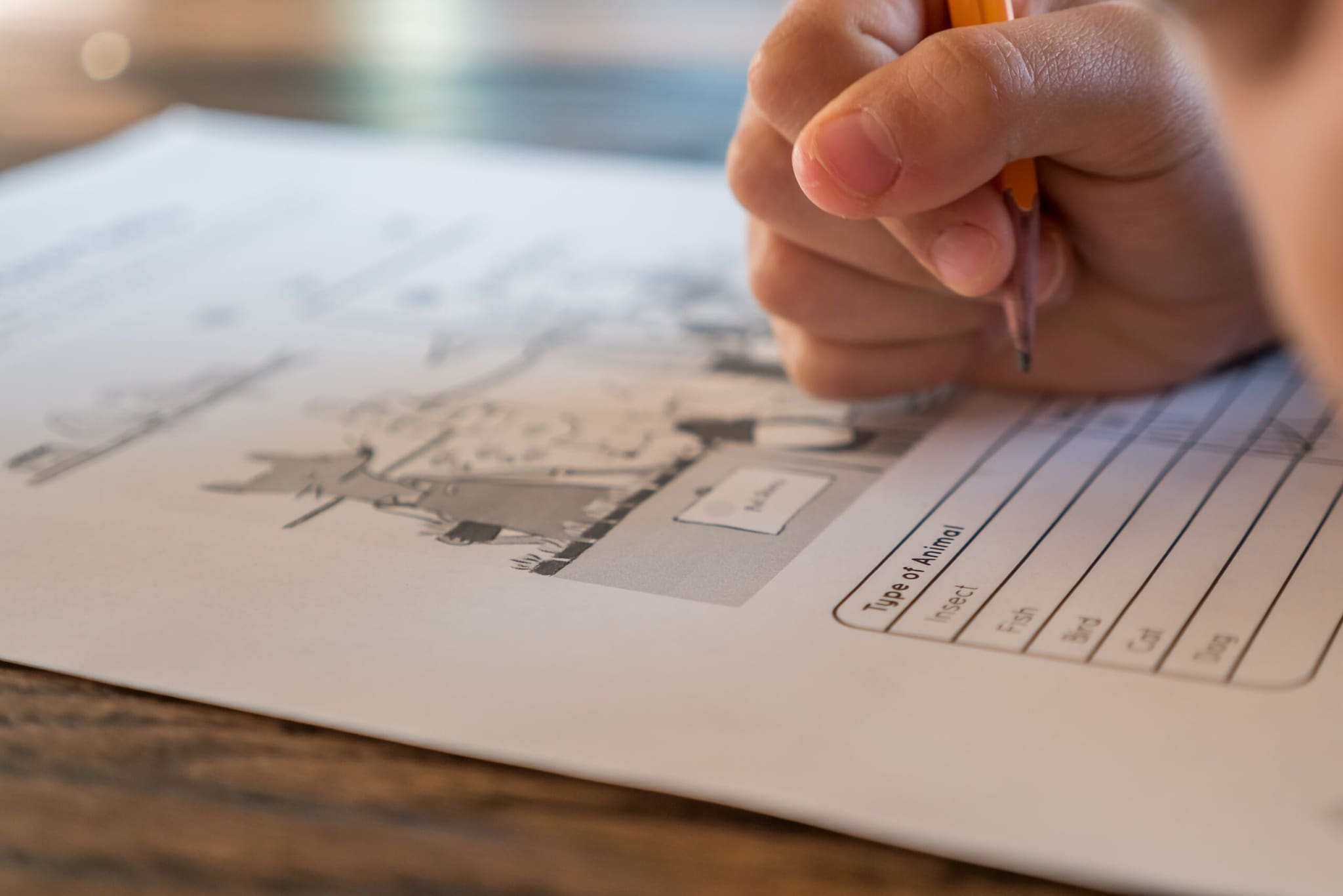 Confusing the Question ID or Option ID: CUET papers use unique, multi-digit identification codes for every question and option rather than simple serial numbers. Failing to precisely cross-check these numerical IDs leads candidates to challenge the wrong question accidentally, invalidating their request automatically. (Representative Image: Pexels) Confusing the Question ID or Option ID: CUET papers use unique, multi-digit identification codes for every question and option rather than simple serial numbers. Failing to precisely cross-check these numerical IDs leads candidates to challenge the wrong question accidentally, invalidating their request automatically. (Representative Image: Pexels)