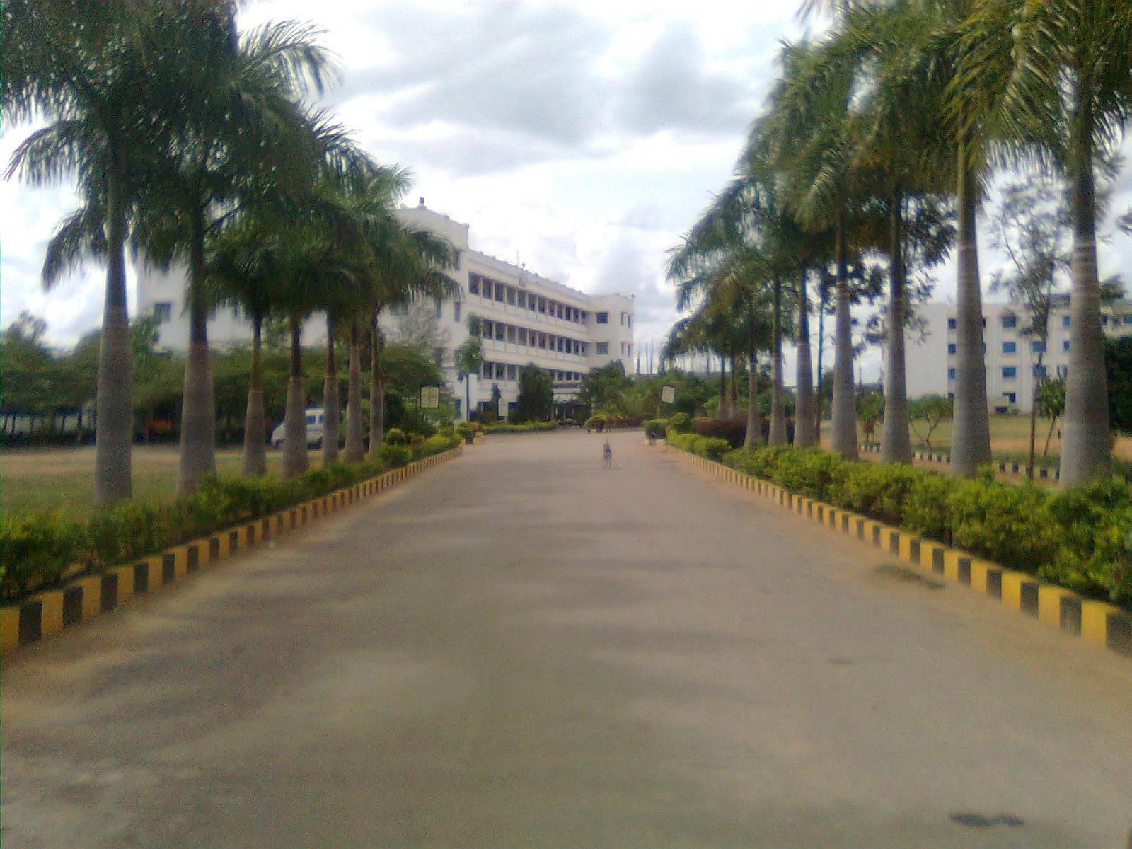 Channabasaveshwara Institute of Technology: Situated in Gubbi, near Tumakuru, this institute focuses on transforming rural students into skilled professionals. It provides a peaceful learning environment, modern infrastructure, and practical skill development programs, ensuring solid career opportunities and technical proficiency for its graduates. Channabasaveshwara Institute of Technology: Situated in Gubbi, near Tumakuru, this institute focuses on transforming rural students into skilled professionals. It provides a peaceful learning environment, modern infrastructure, and practical skill development programs, ensuring solid career opportunities and technical proficiency for its graduates.