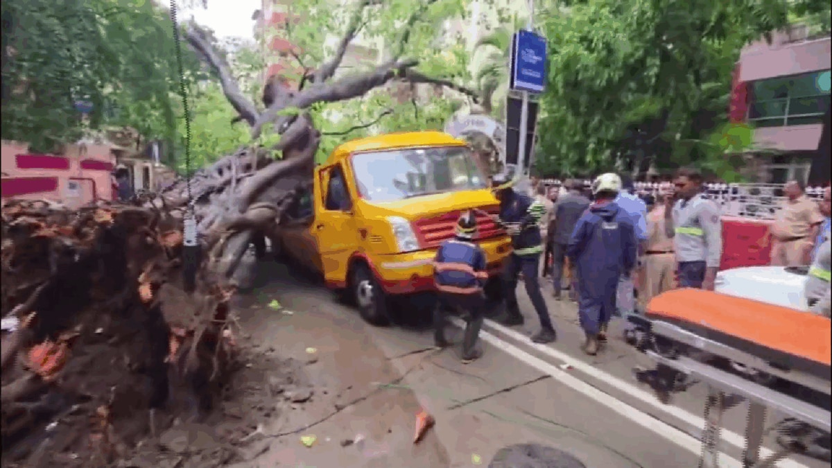 11-Year-Old Dies In Mumbai Tree Collapse: Are Victims Entitled To Compensation?