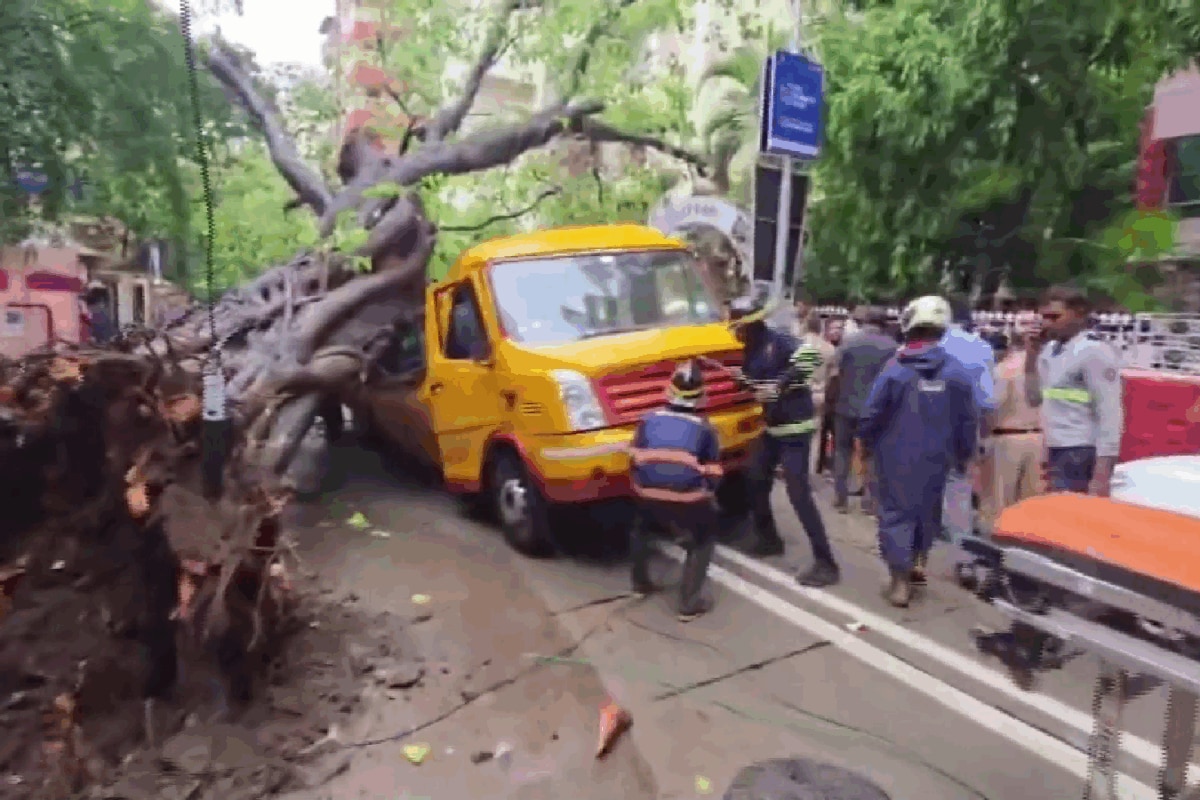 Mumbai Tree Collapse Kills 11-Year-Old: Is Victim's Family Entitled To Compensation?