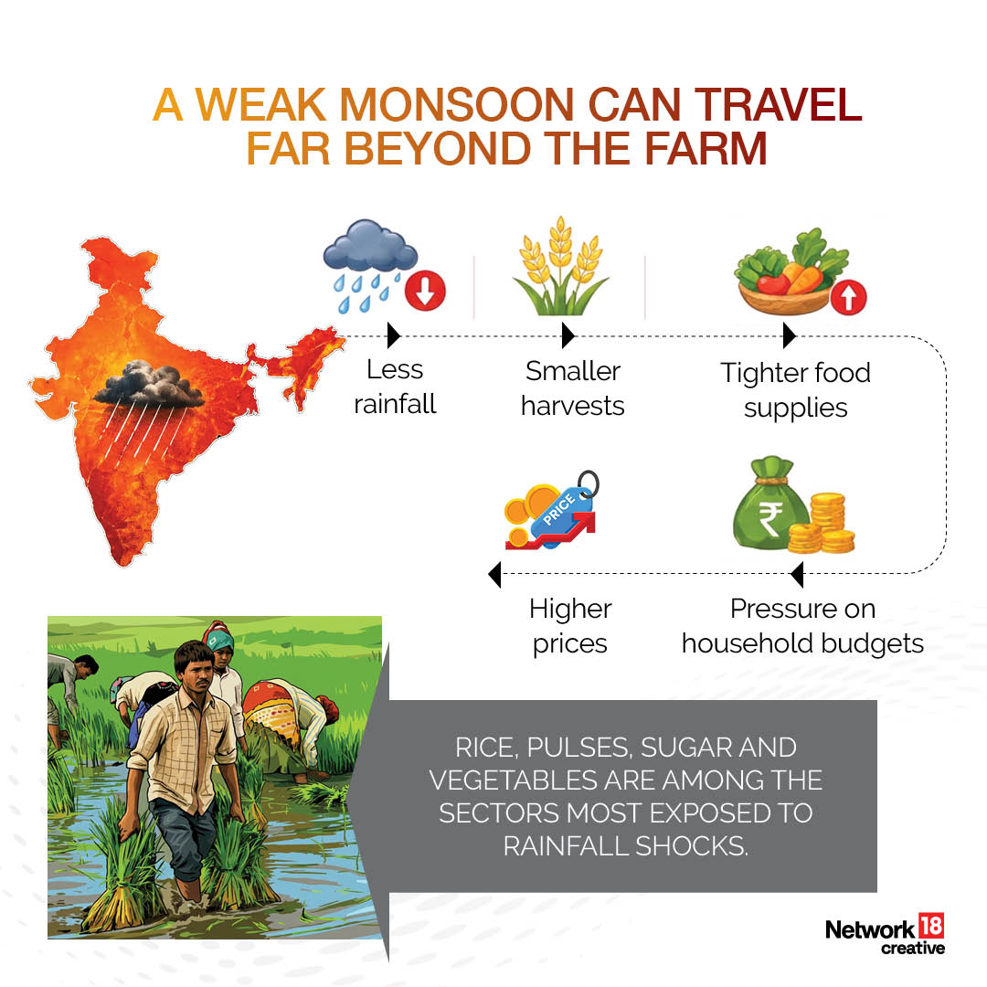 Poor rainfall doesn't just affect agriculture; it can influence food prices, power generation, rural incomes and overall economic growth.
