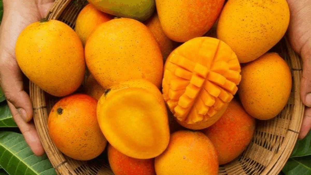 Beyond Mango Shake: 4 Refreshing Mango Drinks You Need to Try This Summer
