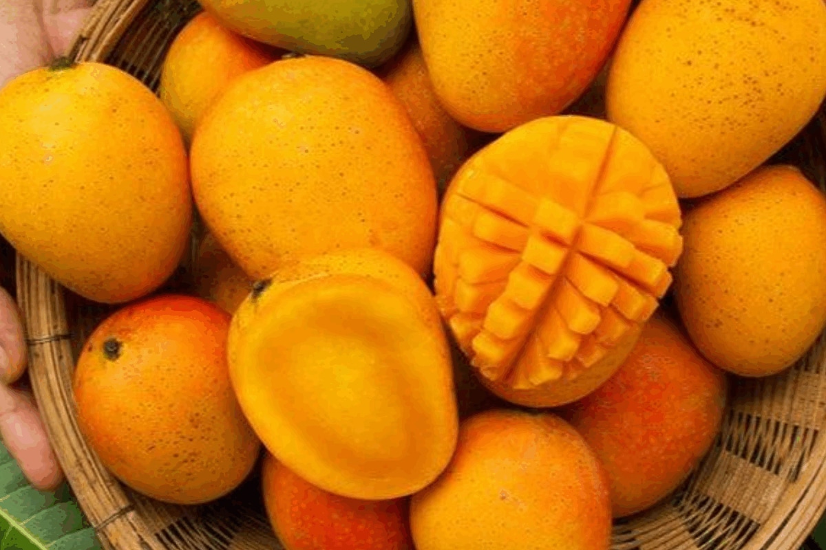 5 Rare Indian Mangoes You've Probably Never Heard Of