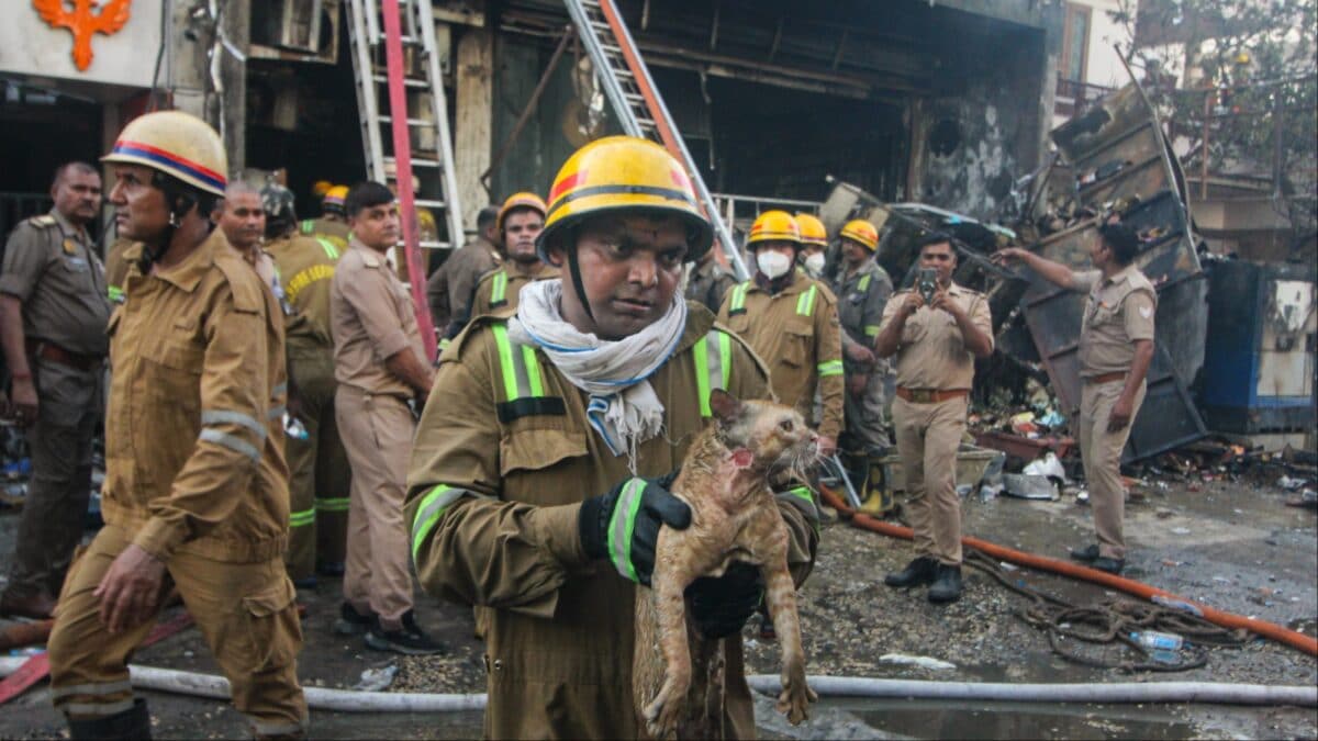 NHRC Takes Cognisance Of Lucknow Coaching Centre Fire, Seeks Action Taken Report Within 2 Weeks