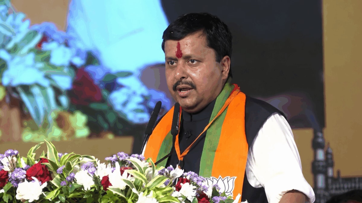 ‘Virus, Cockroach-Like Parties Emerging To Destroy Country’: BJP Chief Nitin Nabin