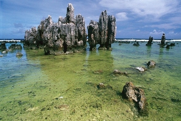 Nauru gained independence on January 31, 1968, and became a sovereign nation. The country joined the Commonwealth of Nations and became a member of the United Nations in 1988. In 1999, Nauru became a full member of both the Commonwealth and the United Nations. (Representative Image: Pexels)
