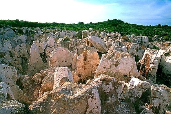 On climate, Nauru is one of the most vulnerable nations on earth. As a low-lying Pacific island, rising sea levels are an existential threat. (Image: Pexels)