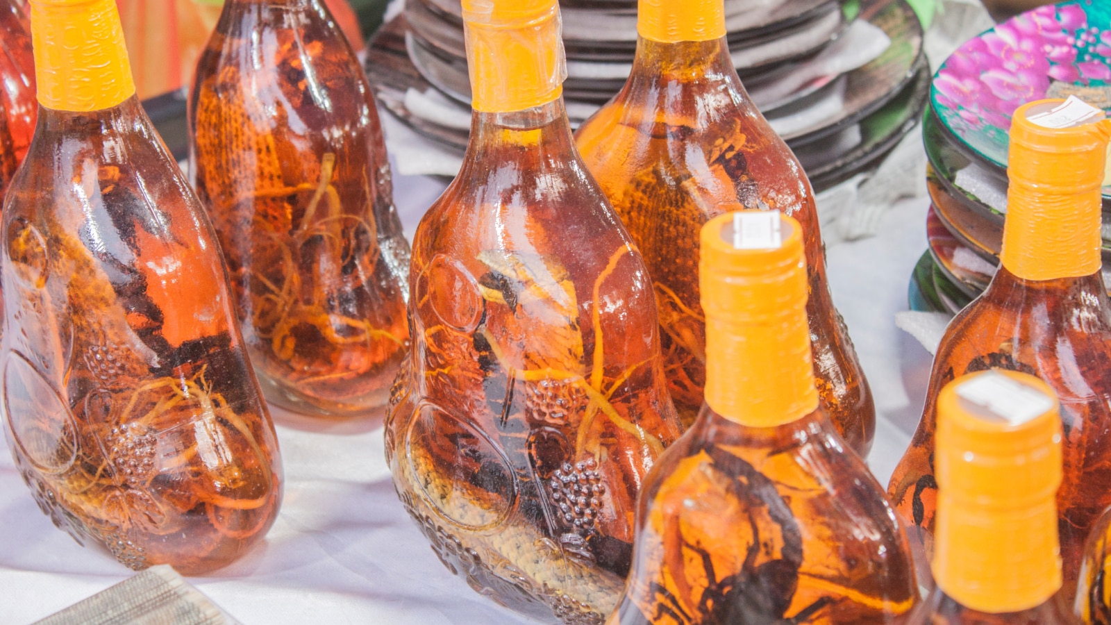 Ethanol Risks Snake In A Bottle? The Bizarre Alcohol That Has Been Around For Centuries